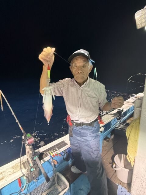 マイカ(ケンサキイカ)