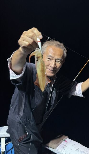 マイカ(ケンサキイカ)