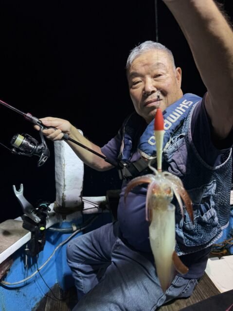 マイカ(ケンサキイカ)