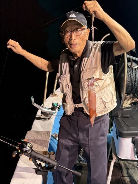 マイカ(ケンサキイカ)