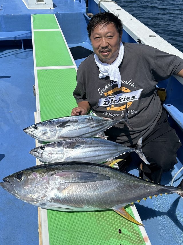 キハダ・カツオ