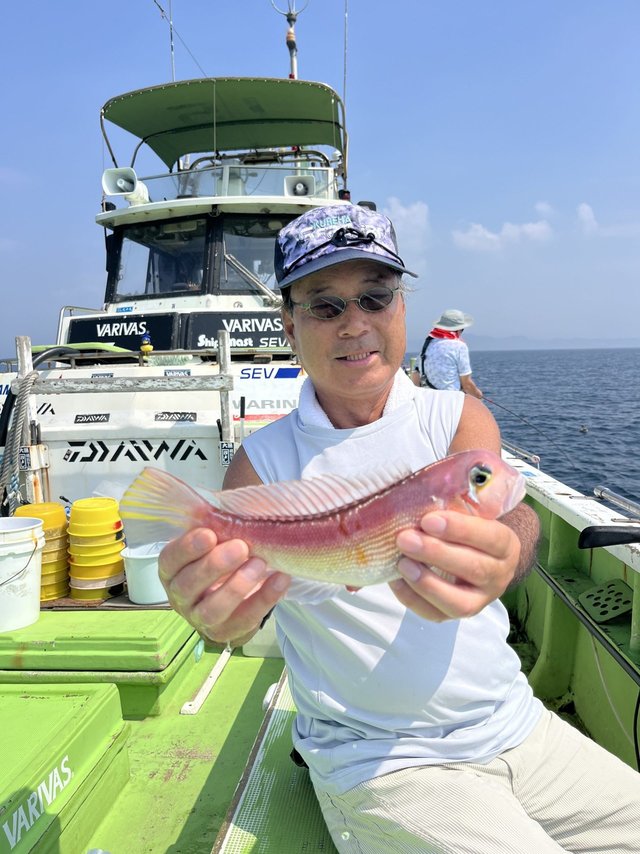 アマダイ(アカアマダイ)