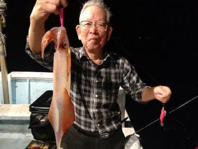 マイカ(ケンサキイカ)