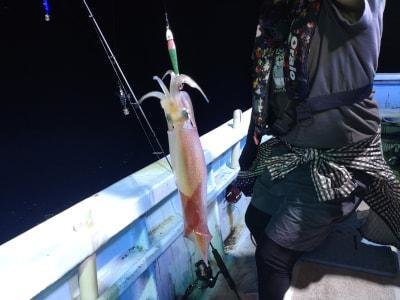 マイカ(ケンサキイカ)