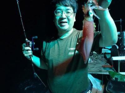 マイカ(ケンサキイカ)