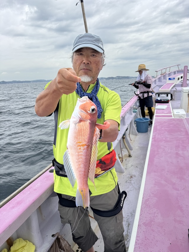 アマダイ(アカアマダイ)