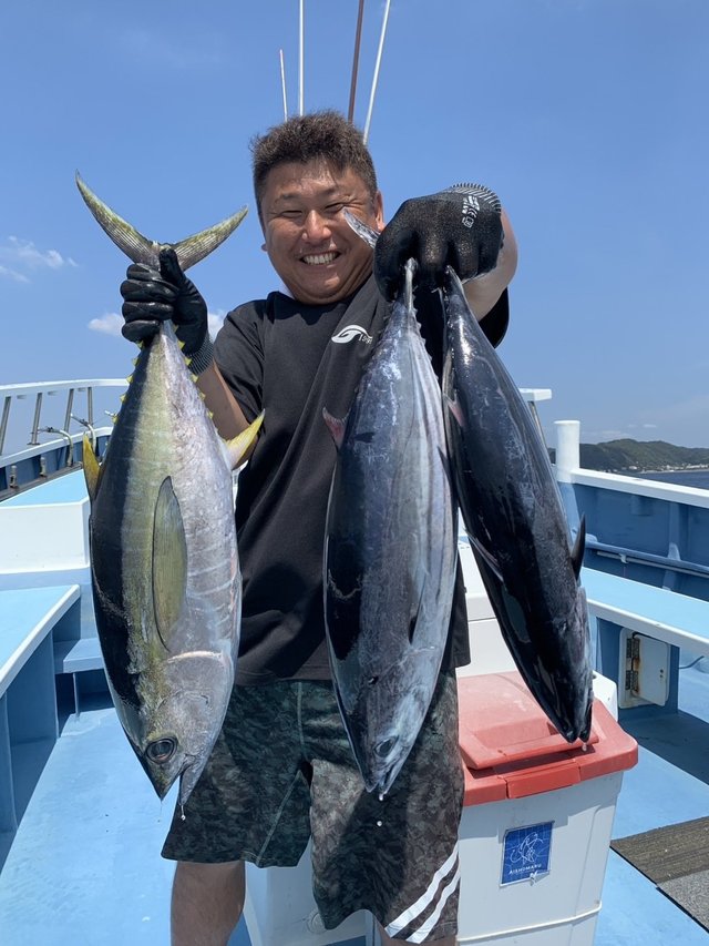 キハダマグロ(キハダ)・カツオ