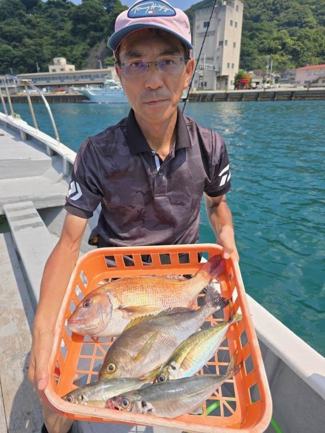 マダイ・アジ(マアジ)・イサキ