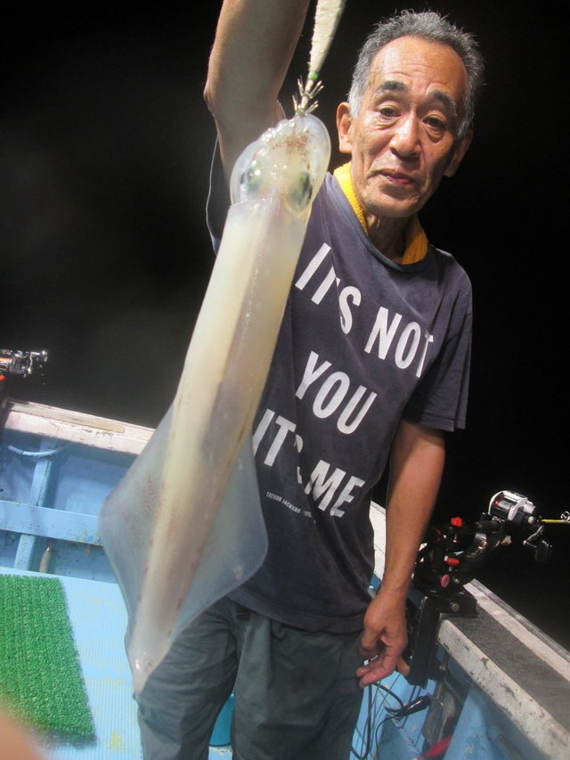 マイカ(ケンサキイカ)