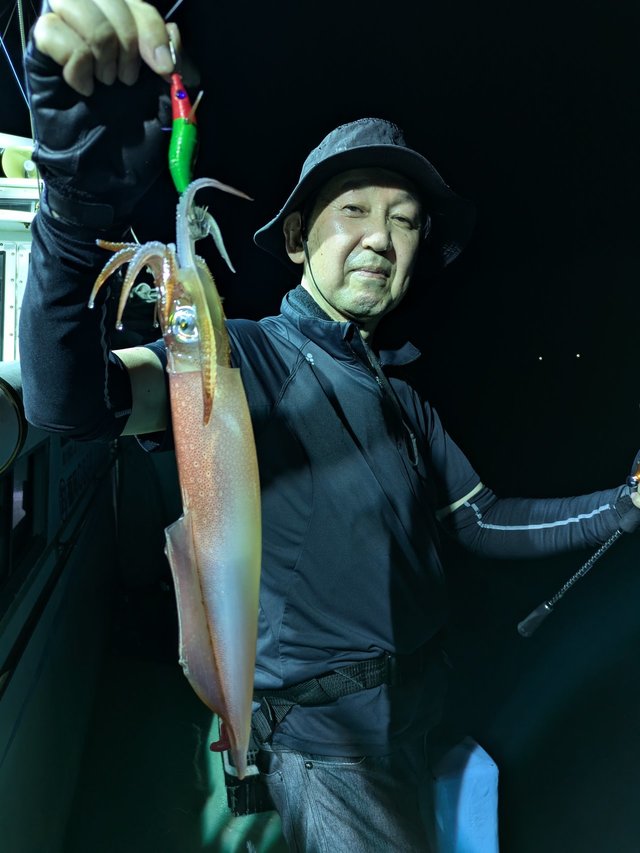 イカ(ヤリイカ)