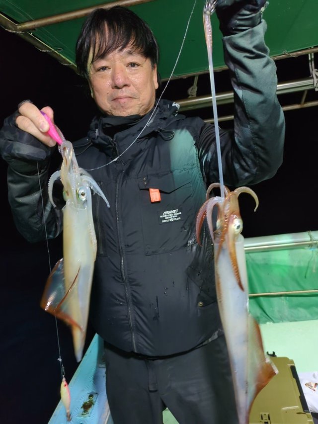 イカ(ヤリイカ)