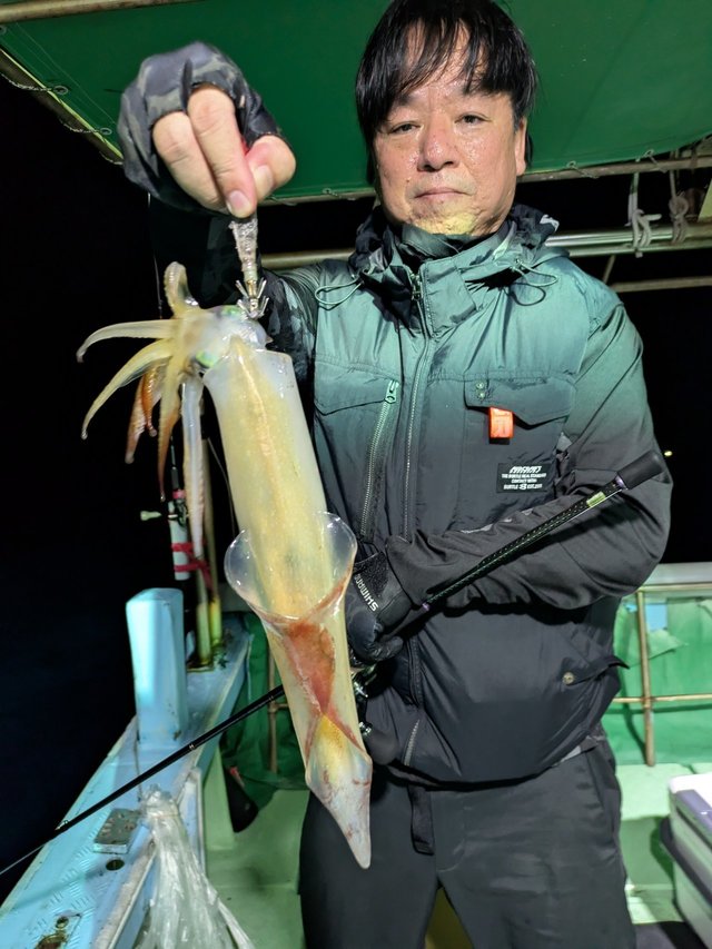 イカ(ヤリイカ)