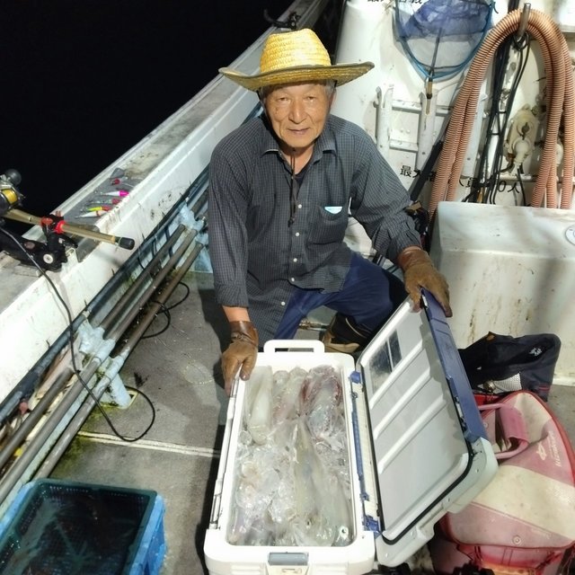 イカ(ヤリイカ)