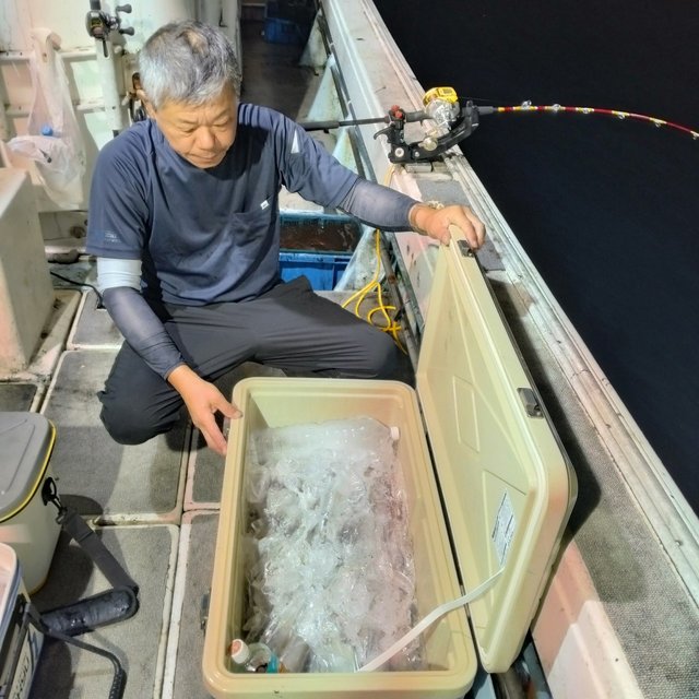 イカ(ヤリイカ)