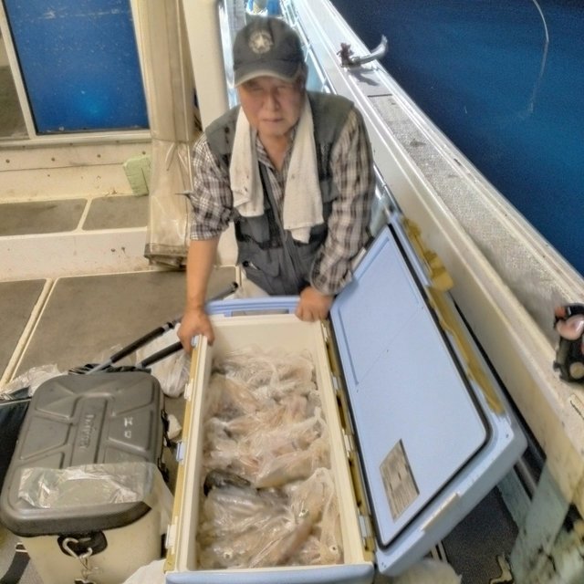 イカ(ヤリイカ)