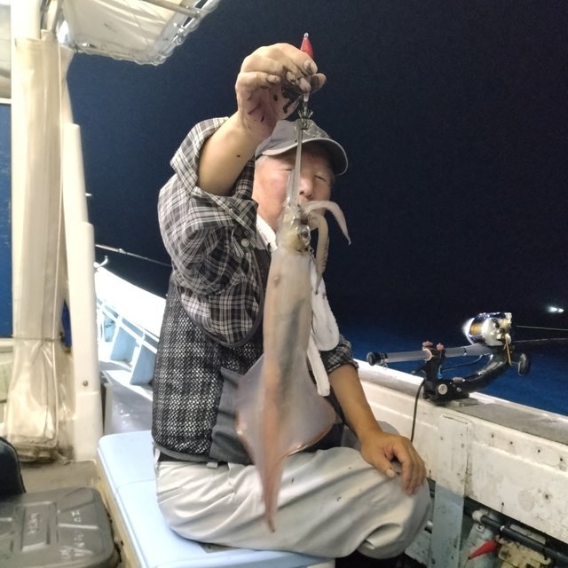 イカ(ヤリイカ)