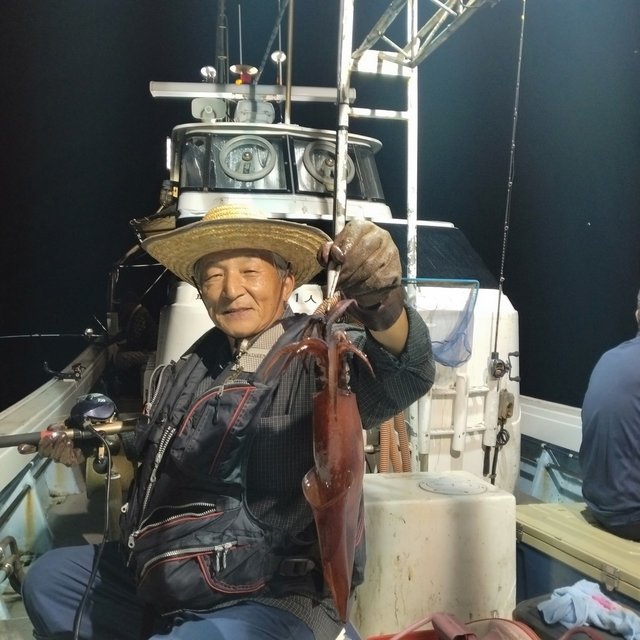 イカ(ヤリイカ)