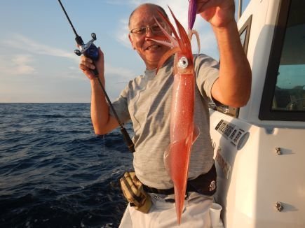 シロイカ(ケンサキイカ)