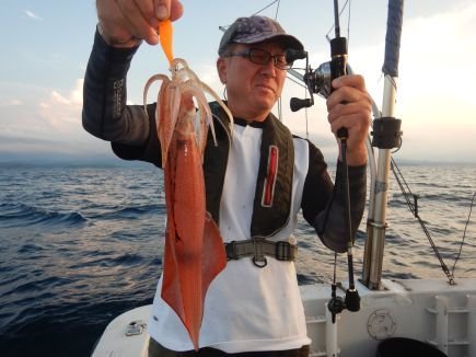 シロイカ(ケンサキイカ)