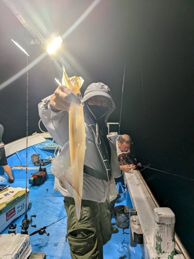 シロイカ(ケンサキイカ)