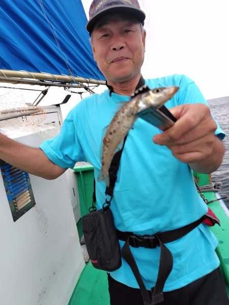 シロキス(シロギス)