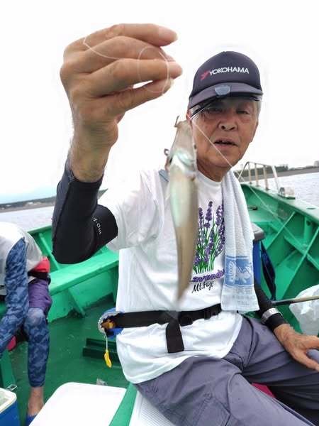 シロキス(シロギス)