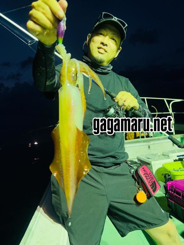 イカ(ケンサキイカ)