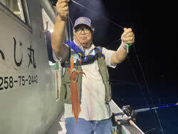 アカイカ(ケンサキイカ)