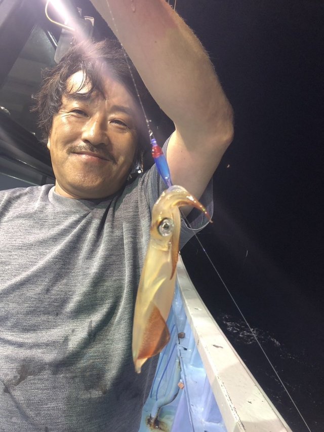 マルイカ(ケンサキイカ)