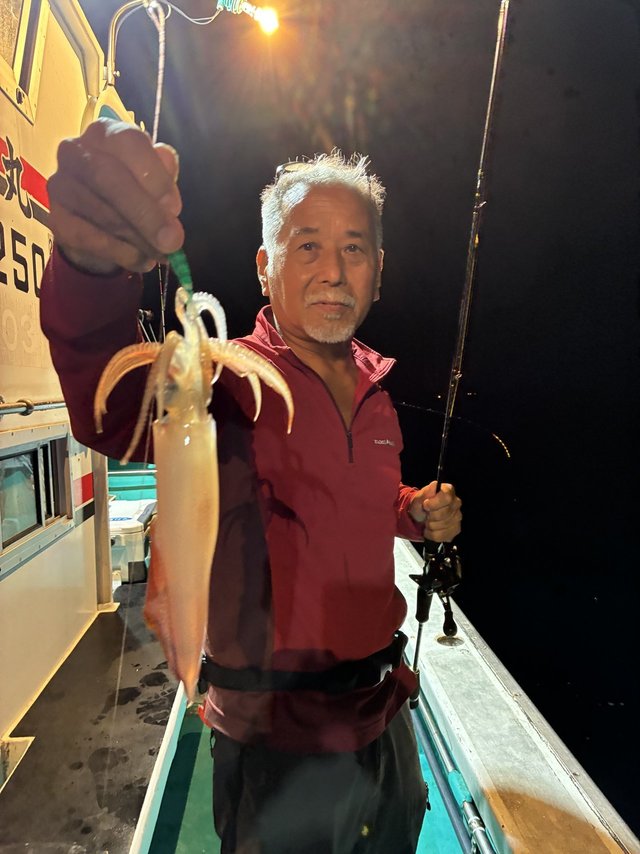 アカイカ(ケンサキイカ)