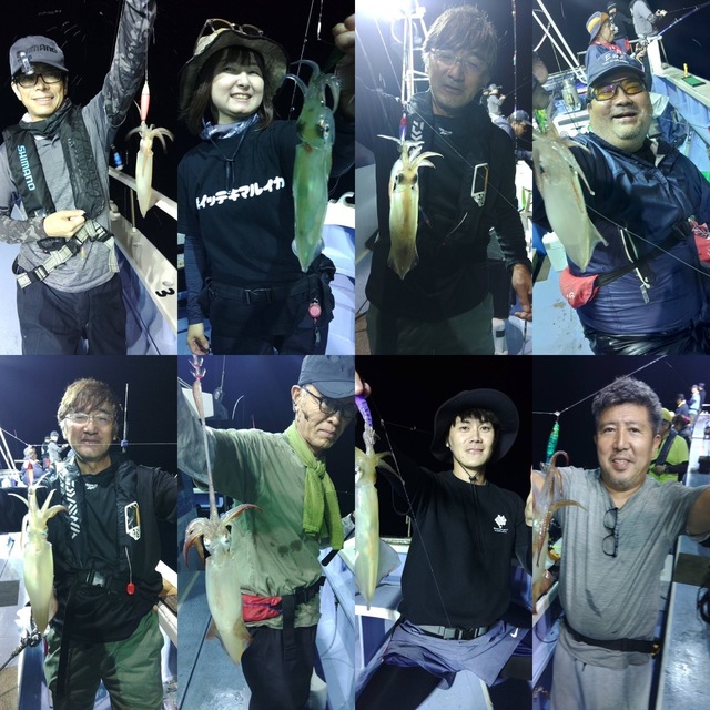 マルイカ(ケンサキイカ)