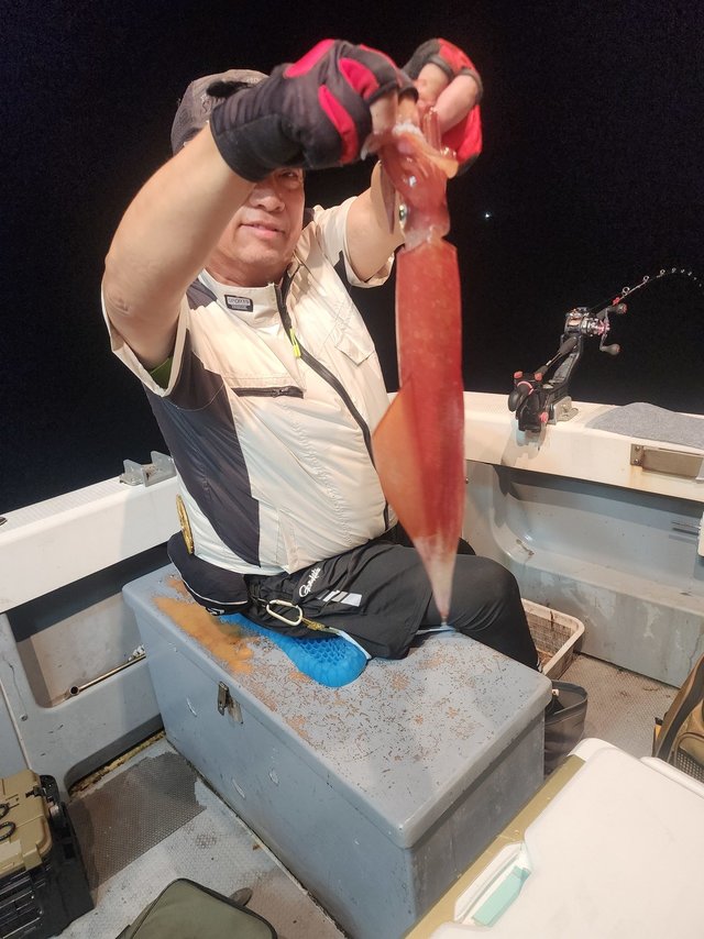 ケンサキ(ケンサキイカ)