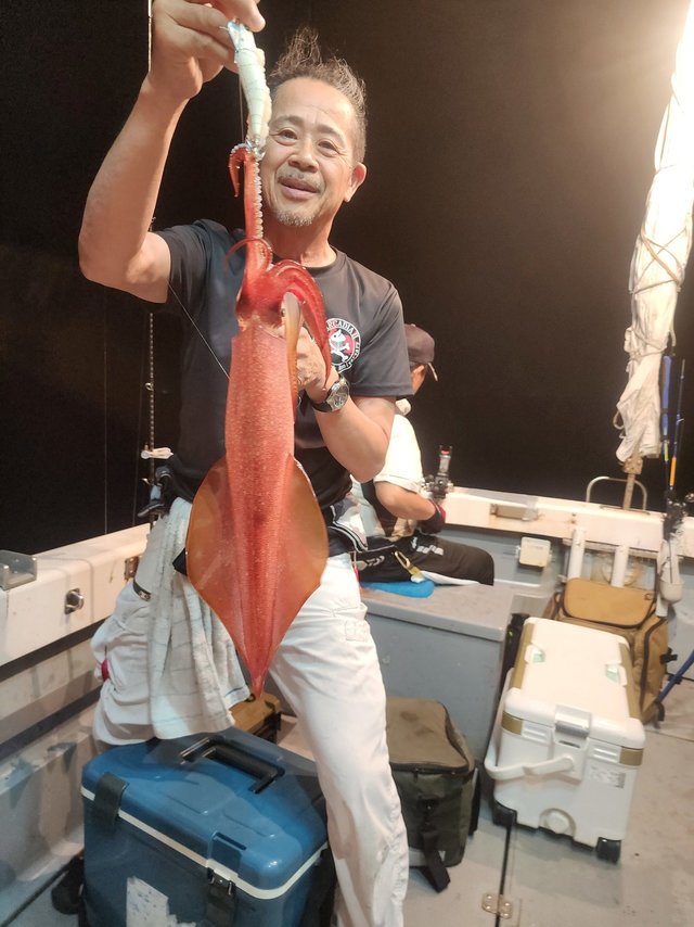 ケンサキ(ケンサキイカ)