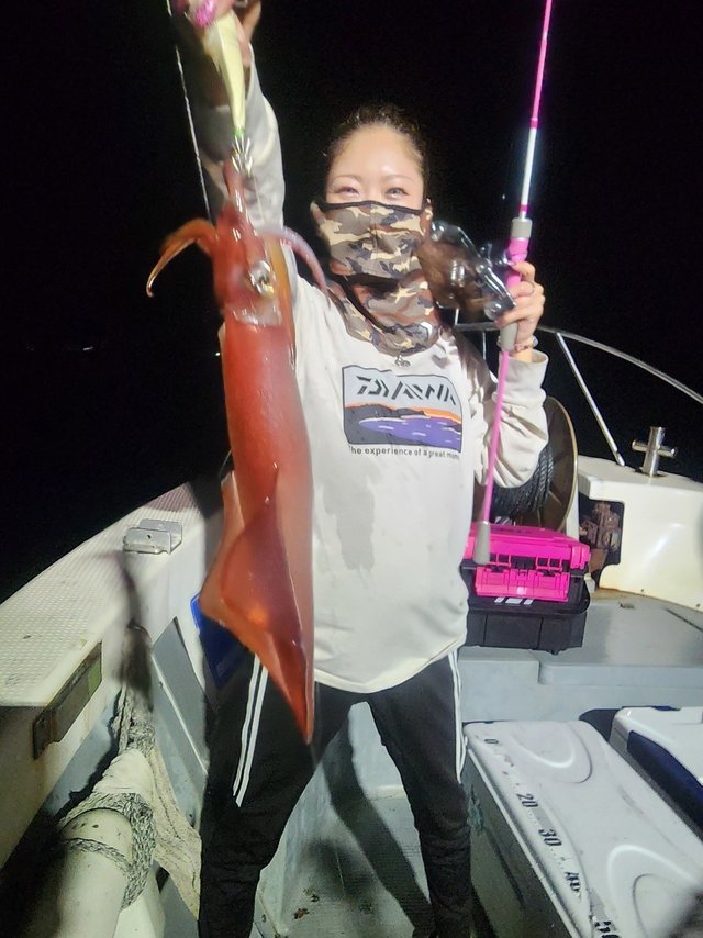 ケンサキ(ケンサキイカ)