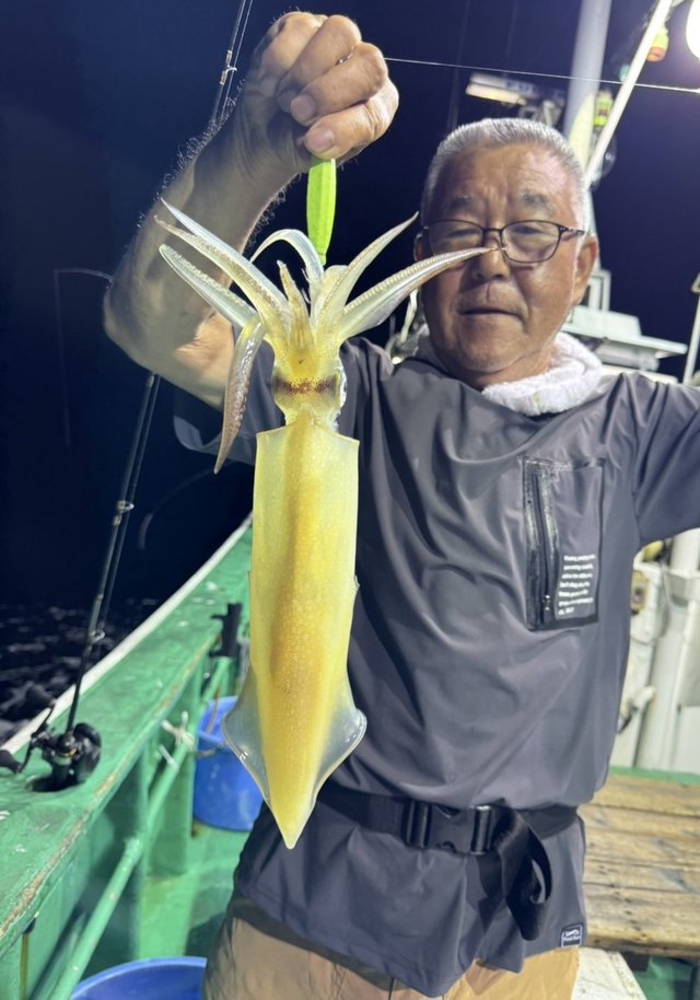 マルイカ(ケンサキイカ)