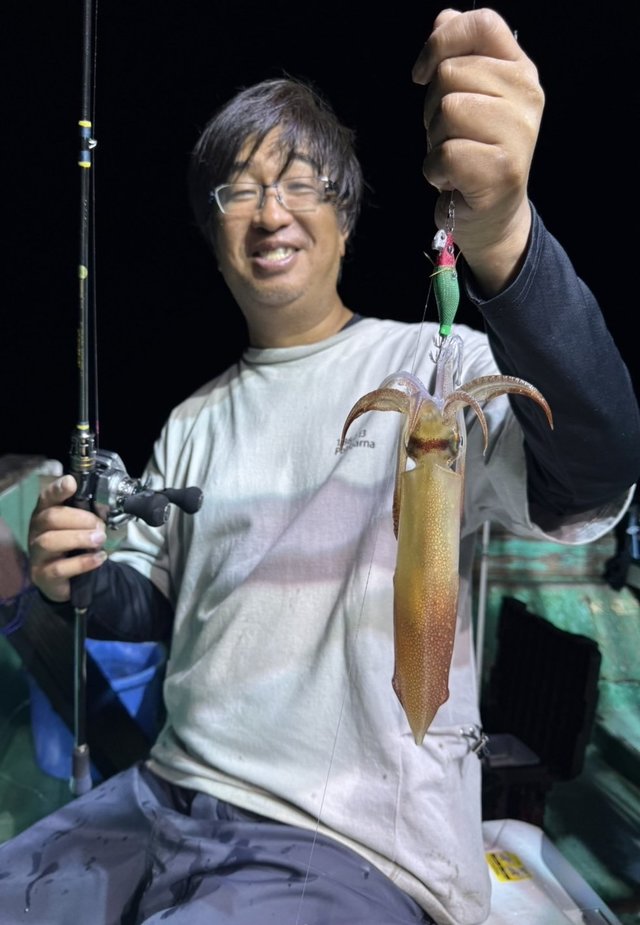 マルイカ(ケンサキイカ)