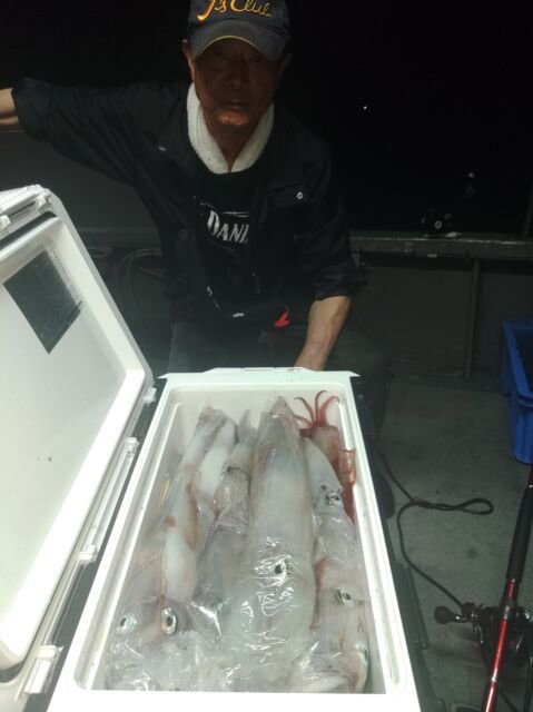 イカ(ヤリイカ)