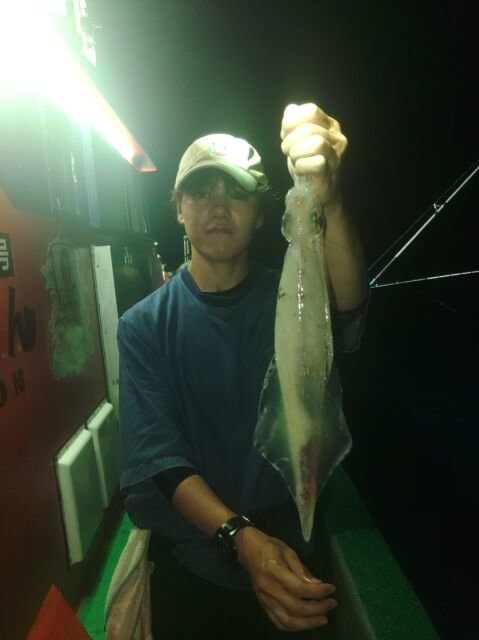 イカ(ヤリイカ)