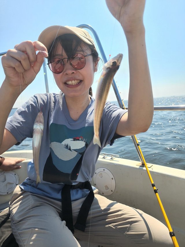 キス(シロギス)