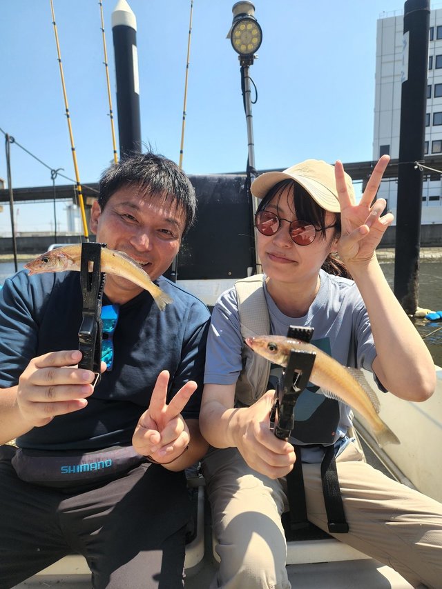 キス(シロギス)