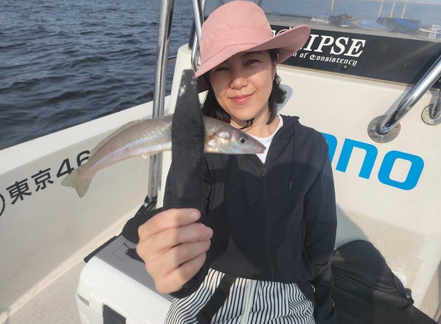 キス(シロギス)