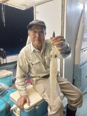 イカ(ケンサキイカ)