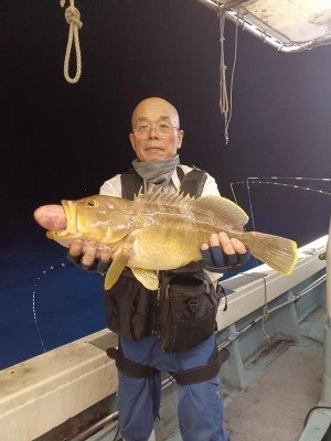 アコウ(キジハタ)