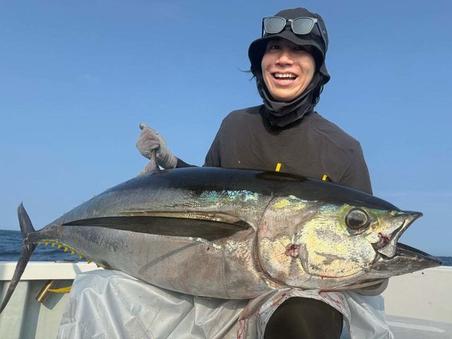 キハダマグロ(キハダ)