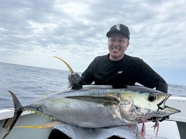 キハダマグロ(キハダ)