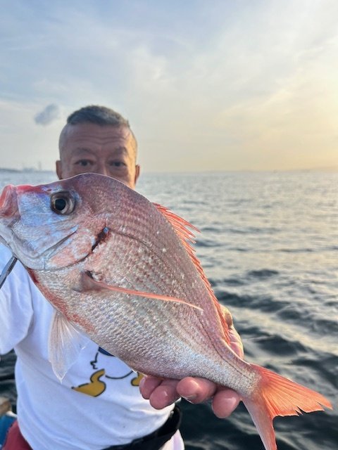 ハナダイ(チダイ)