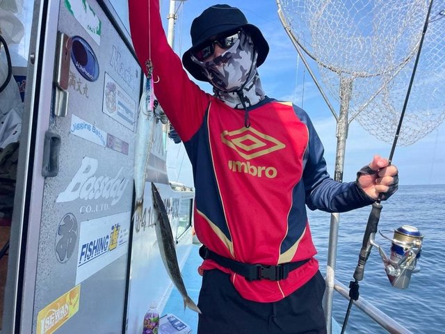 カマス(アカカマス)