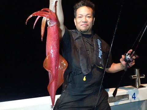 シロイカ(ケンサキイカ)