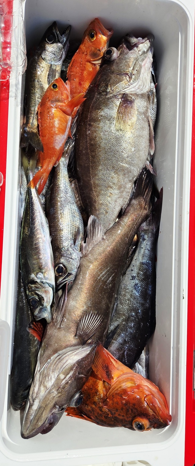 アラ・クロムツ