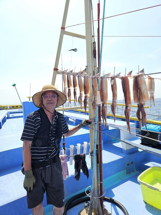 スルメ(スルメイカ)